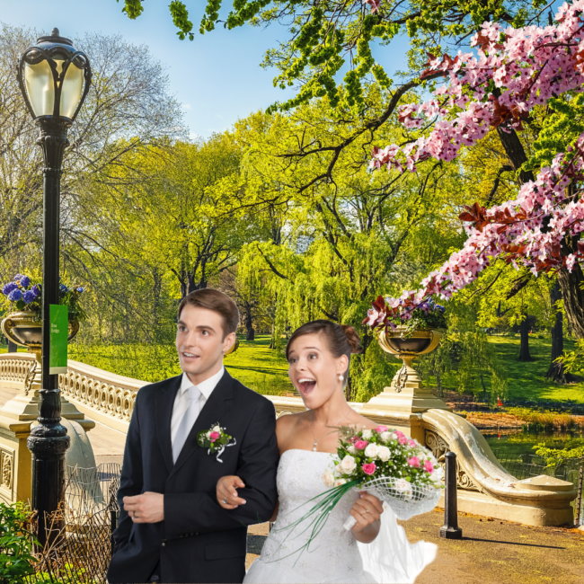 newyork-virtual-wedding